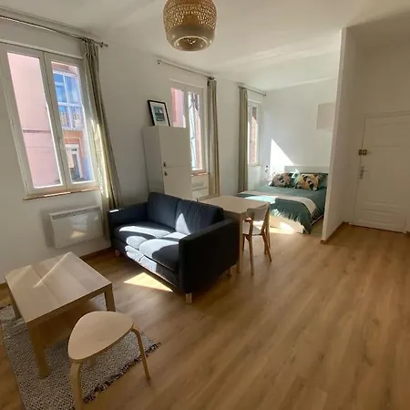 Apartment Le Petit Minimes Au Bord Du Canal Du Midi Toulouse